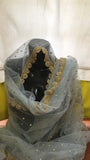 Net Dupatta 2620